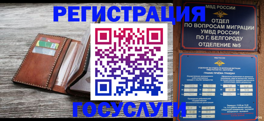 временная регистрация гарантия в Балтийске